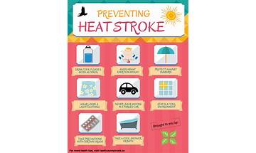How to avoid sun strokes and heat strokes in summer heatwaves